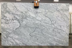 Calacatta Carrara honed