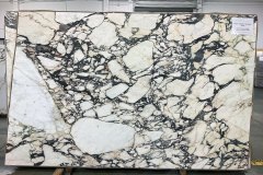 Calacatta Viola Select honed